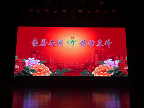 南京東山外國(guó)語(yǔ)學(xué)校 / P4室內(nèi)高清顯示